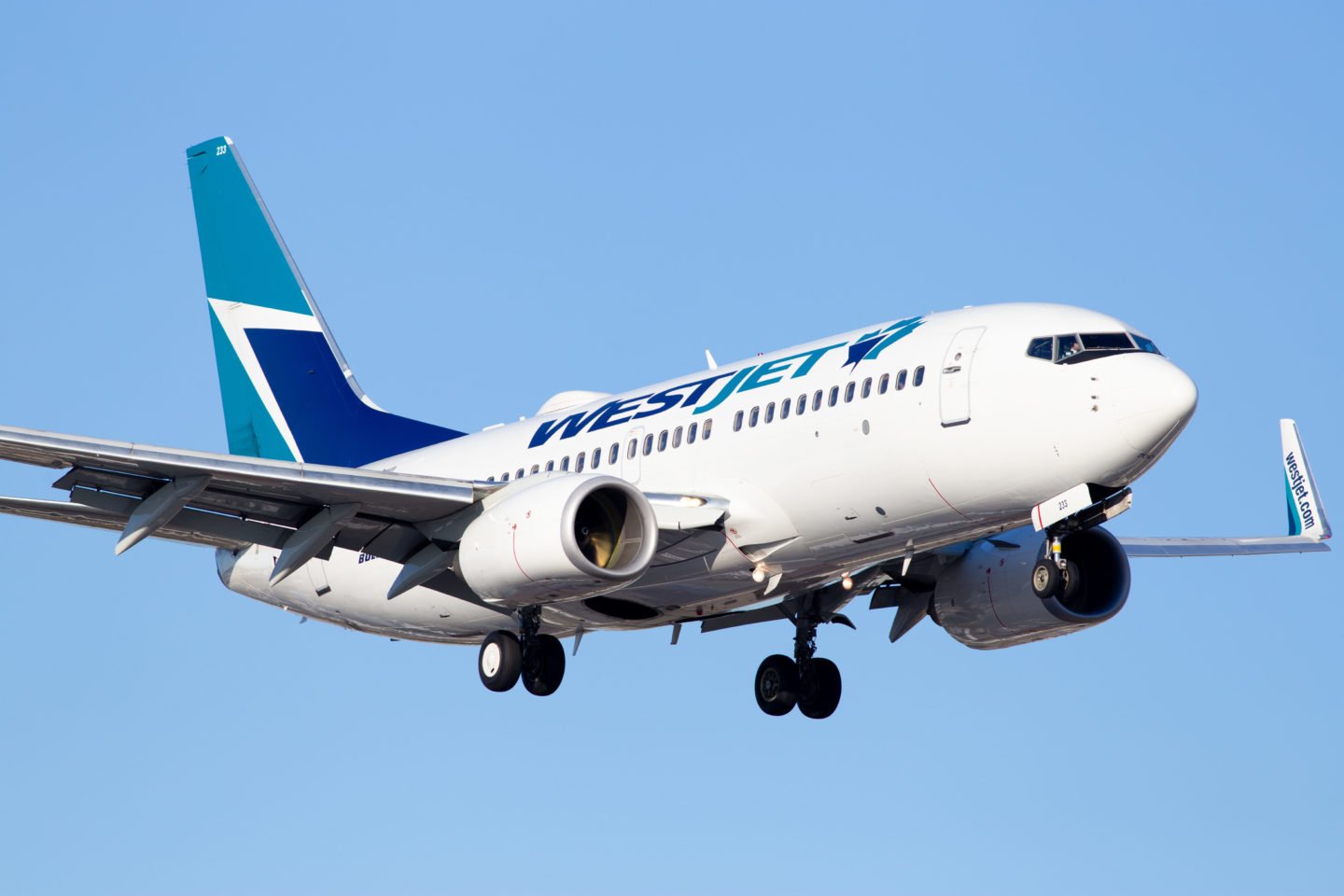 WestJet Slams AMFA for Ignoring Arbitration and Commencing Strike